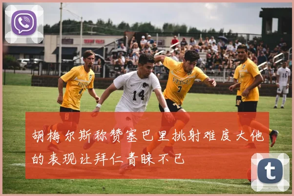 胡梅尔斯称赞塞巴里挑射难度大他的表现让拜仁青睐不已